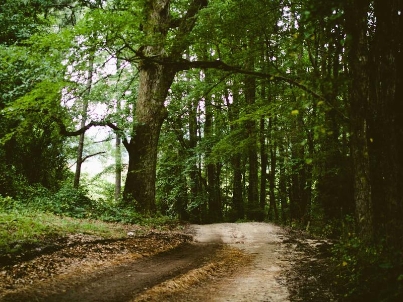 windows screenshot 1